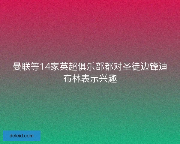 曼联等14家英超俱乐部都对圣徒边锋迪布林表示兴趣