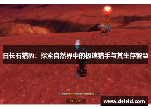 日长石猎豹：探索自然界中的极速猎手与其生存智慧