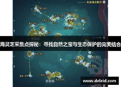 海灵芝采集点探秘：寻找自然之宝与生态保护的完美结合